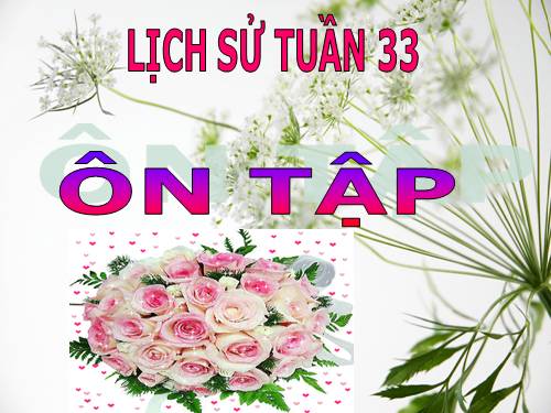 LỊCH SỬ TUẦN 33 : ÔN TẬP