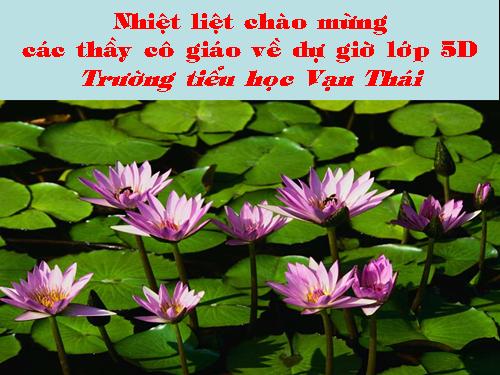 Bài 17. Chiến thắng lịch sử Điện Biên Phủ