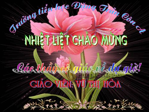 Bài 19. Nước nhà bị chia cắt