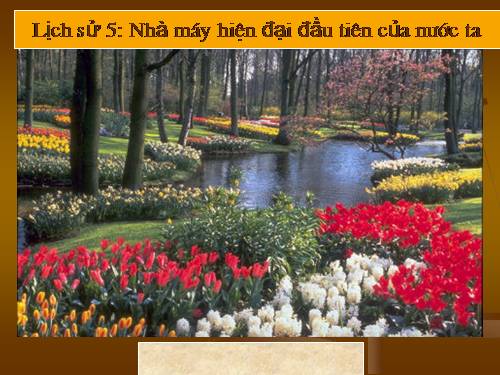 Bài 21. Nhà máy hiện đại đầu tiên của nước ta