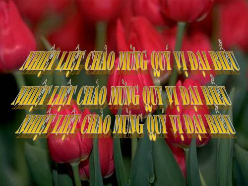 Bài 17. Chiến thắng lịch sử Điện Biên Phủ