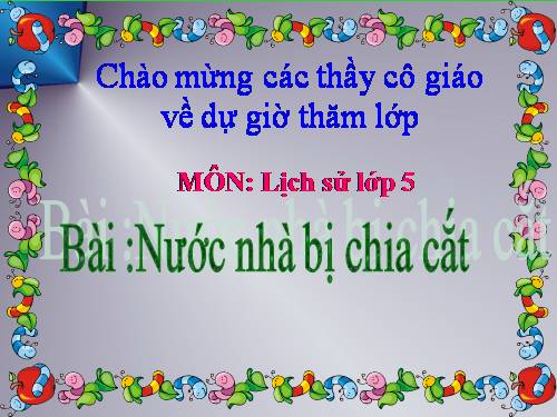 Bài 19. Nước nhà bị chia cắt