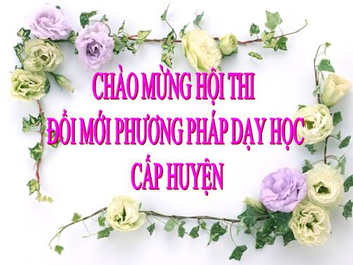 Bài 19. Nước nhà bị chia cắt