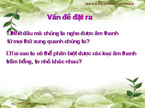 bai 51