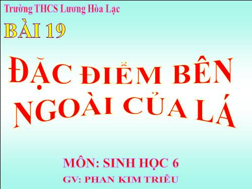 Giao an sinh học 8