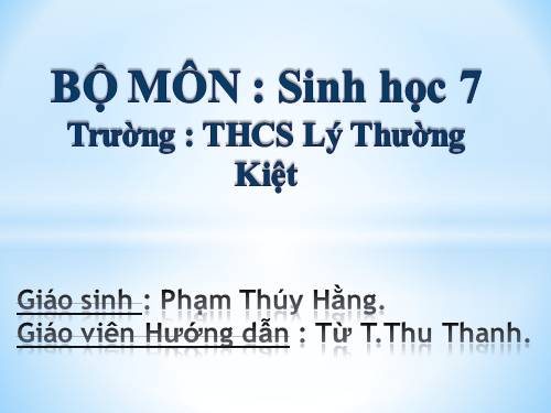 bộ gặm nhấm - bộ ăn sâu bọ - bộ ăn thịt - bộ cá voi