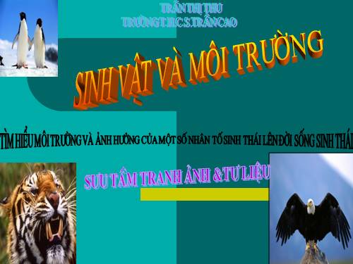 Sinh vật và môi trường