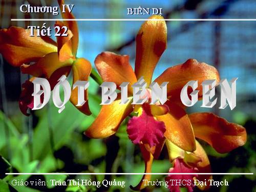 Đột biến gen thi giáo viên dạy giỏi