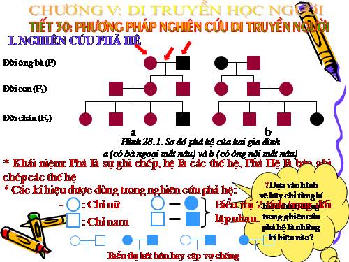 sinh 9: nghien cuu di truen o nguoi