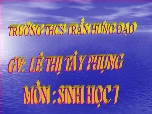 Bài 41. Môi trường và các nhân tố sinh thái