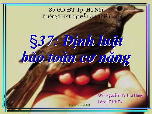 Bài 41. Môi trường và các nhân tố sinh thái