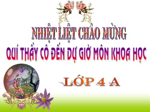 Giáo Án Khoa học 4