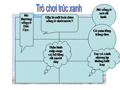 Trò chơi từ trúc xanh làm từ powerpoint