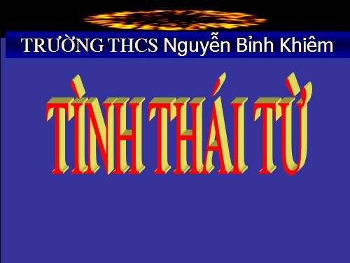 Tình thái tử 2