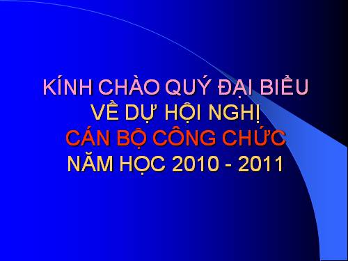 Ke hoach nam hoc trinh hoi nghi 10-11