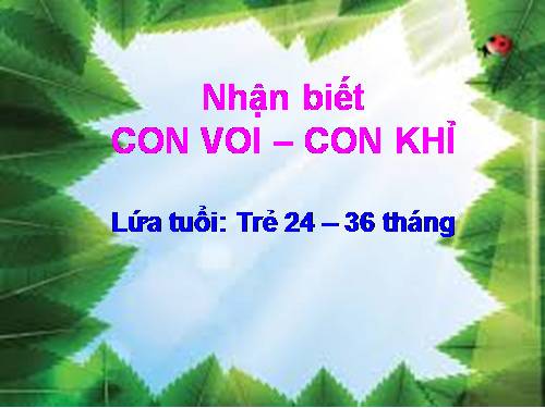 nhận biết con voi con khỉ