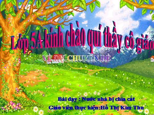 Bài 19. Nước nhà bị chia cắt