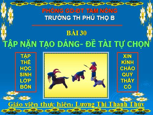 Bài 30. Đề tài tự chọn