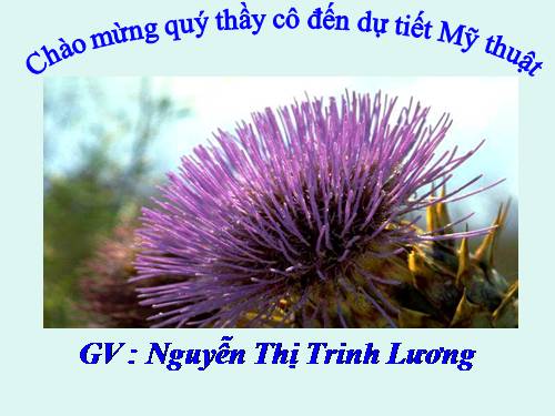 Bài 17. Trang trí hình vuông