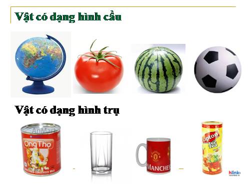 Bài 31. Mẫu có dạng hình trụ và hình cầu