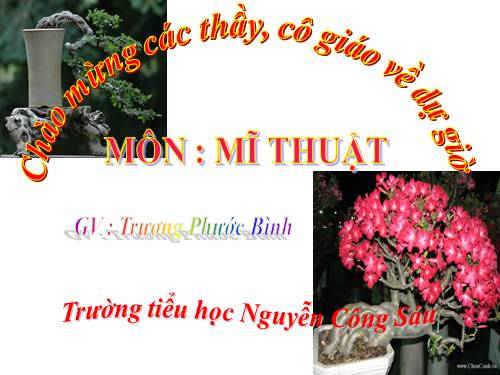 Bài 32. Tạo dáng và trang trí chậu cảnh