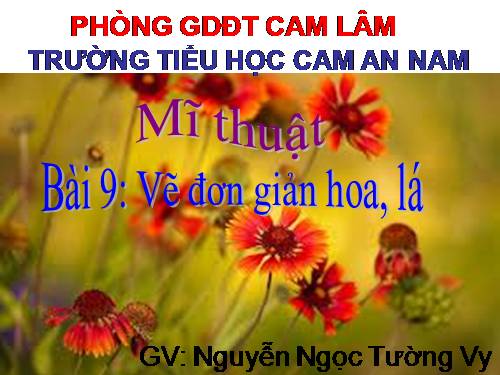 Bài 9. Vẽ đơn giản hoa, lá