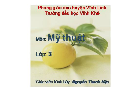 Bài 6. Vẽ quả dạng hình cầu