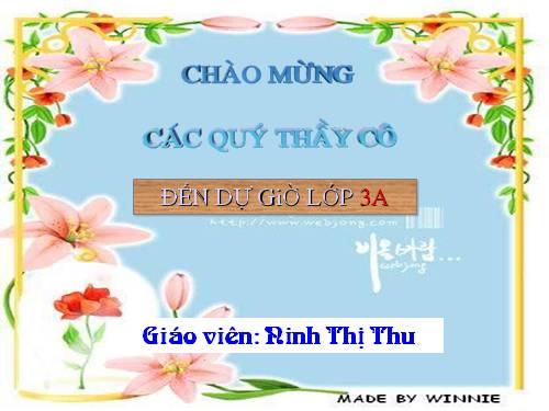 Bài 29. Đề tài An toàn giao thông