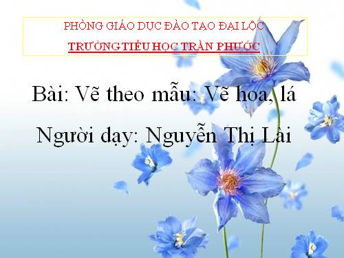 Bài 2. Vẽ hoa, lá