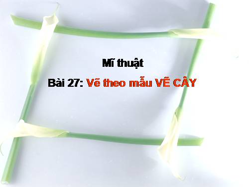 Bài 27. Vẽ cây