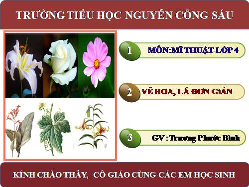 Bài 9. Vẽ đơn giản hoa, lá