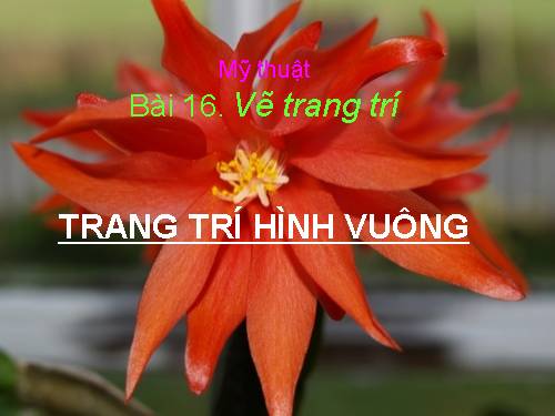 Bài 17. Trang trí hình vuông