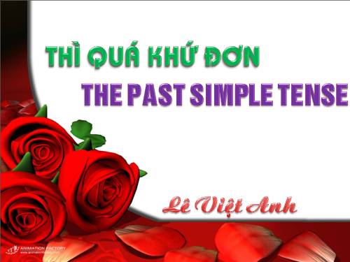 THÌ QUÁ KHỨ ĐƠN (THE PAST SIMPLE TENSE)
