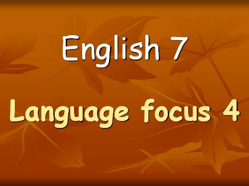 LANGUAGE FOCUS 4