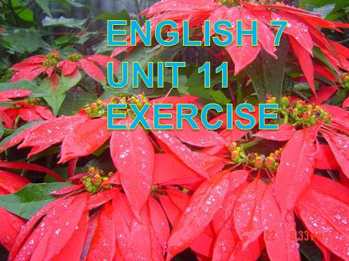 Unit 11. Keep fit, stay healthy