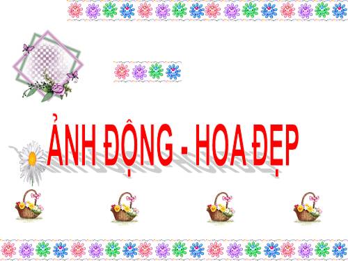 anh dong cho giao an