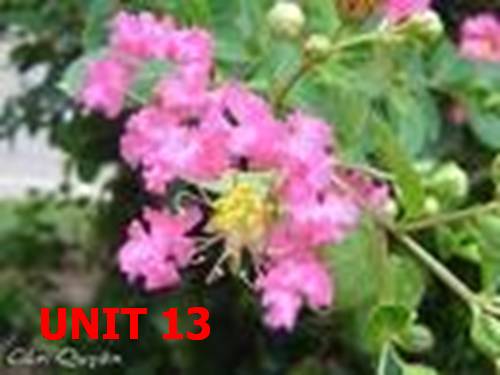 Unit 13. Activities
