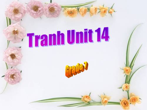 Tranh Unit 14