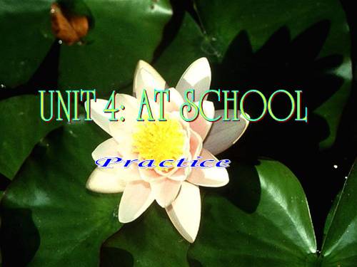 Unit 4. At school