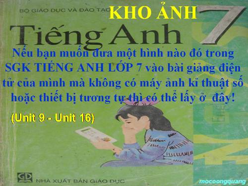 KHO ẢNH TIẾNG ANH 7 (UNIT9-16)