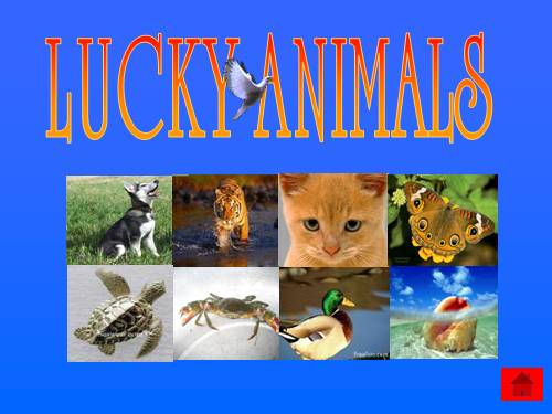 Lucky animals