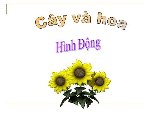 Cây và hoa (hình động)