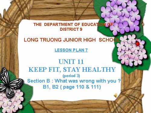 Unit 11. Keep fit, stay healthy