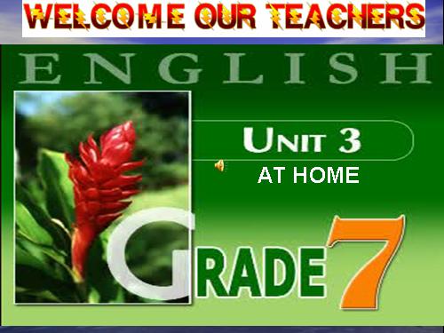 Unit 3. At home