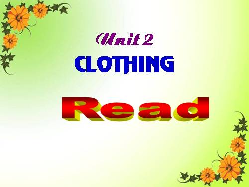 Unit 2. Clothing