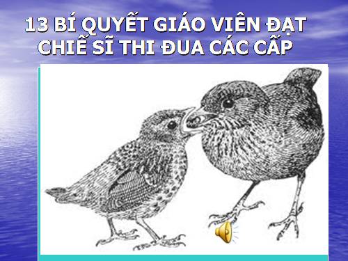 ĐẠT TÓT HỘI THI CSTĐ CÁC CẤP