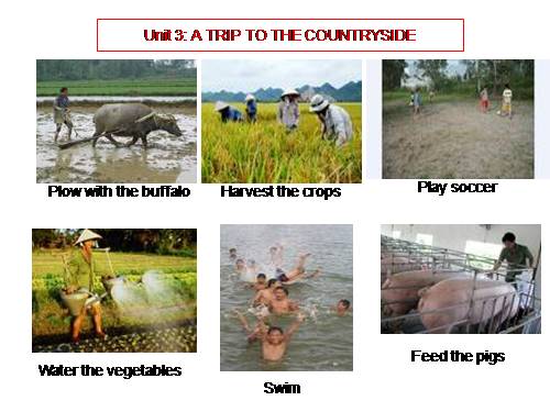 Unit 3. A trip to the countryside