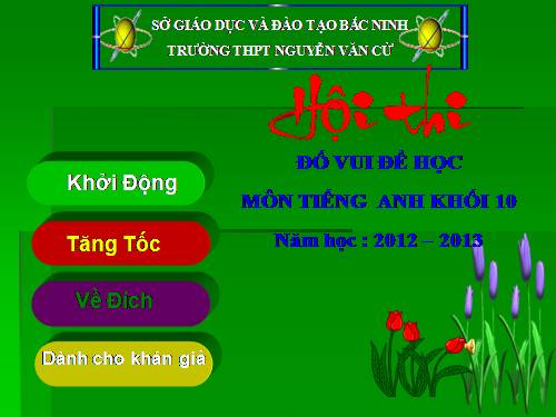 NGOẠI KHÓA TIẾNG ANH 10