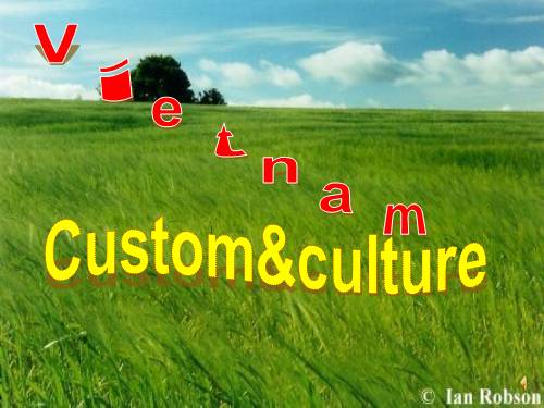 Culture VN