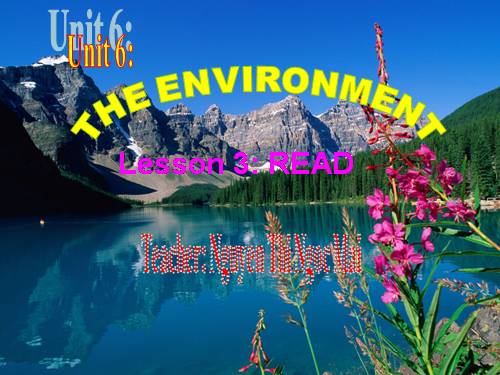 Unit 6. The environment